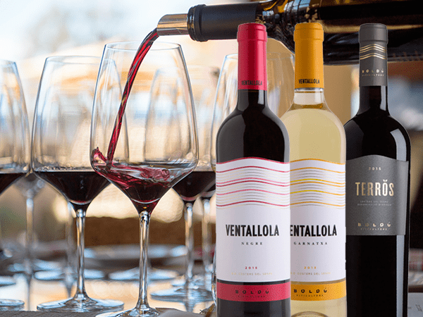 Tast de vins celler boldú viticultors